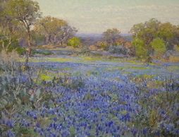 A Field of Blue Bonnets, Late Afternoon Sunlight